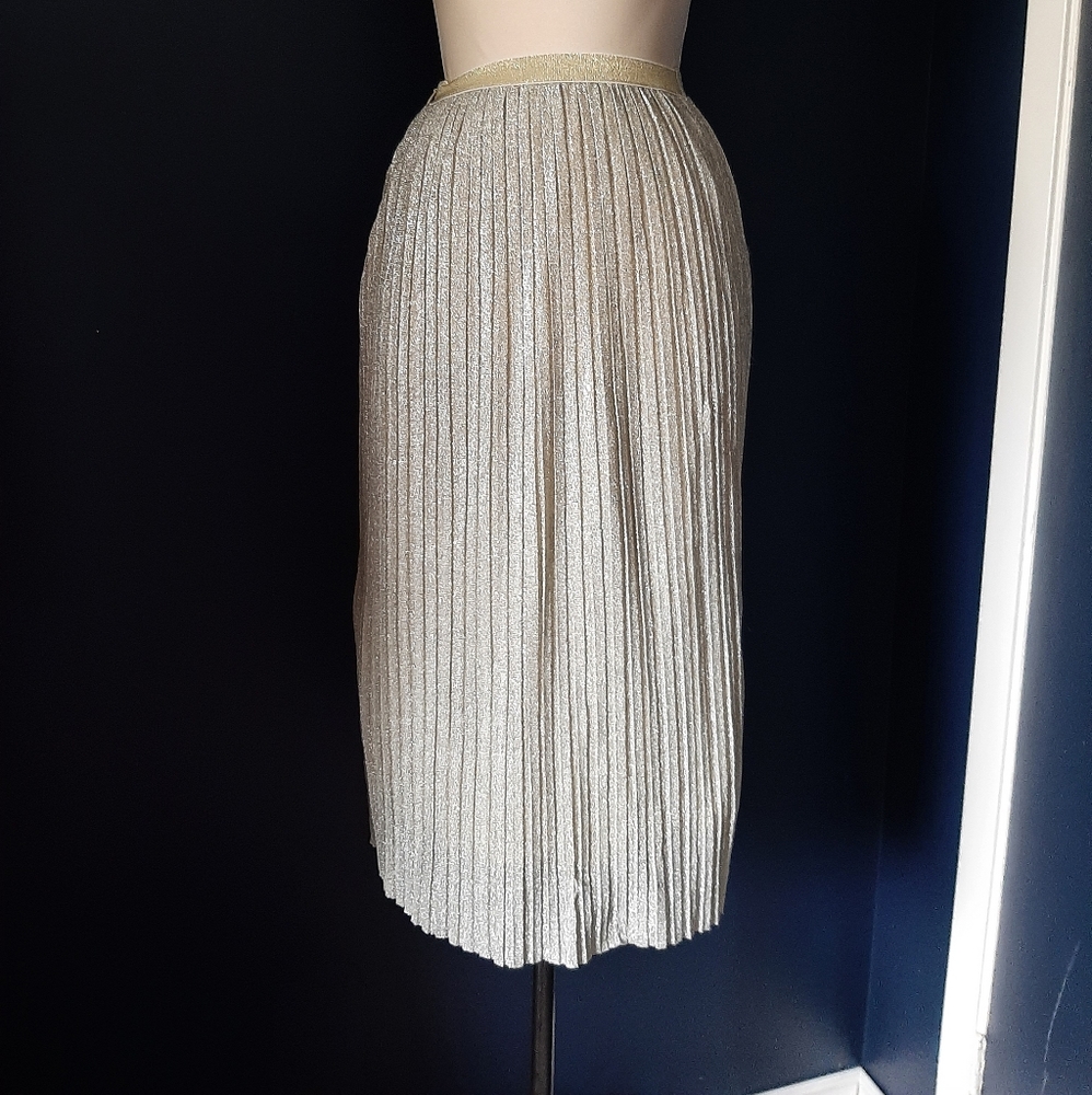 COPY - Kimchi blue sparkle pleated skirt